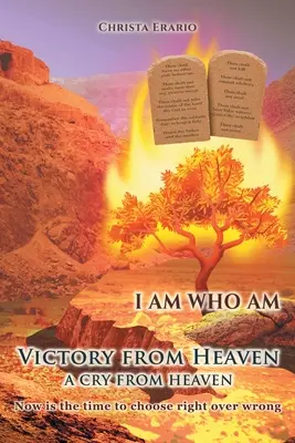 Vítězství z nebe: Výkřik z nebe - Victory from Heaven: A Cry from Heaven