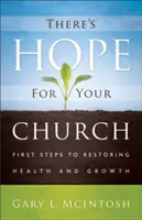Naděje pro váš sbor: První kroky k obnovení zdraví a růstu - There's Hope for Your Church: First Steps to Restoring Health and Growth