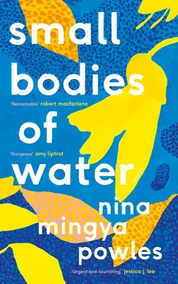 Malé vodní plochy - Small Bodies of Water