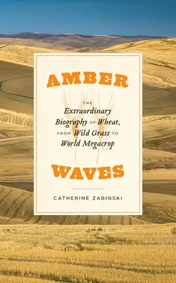 Jantarové vlny: Vlny: Neobyčejný životopis pšenice, od divoké trávy po světovou megakulturu - Amber Waves: The Extraordinary Biography of Wheat, from Wild Grass to World Megacrop