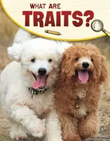 Co jsou to rysy? - What Are Traits?