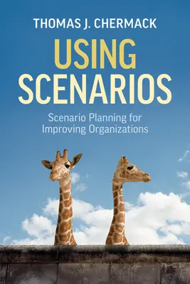Používání scénářů: Sada: Plánování pomocí scénářů pro zlepšování organizací - Using Scenarios: Scenario Planning for Improving Organizations