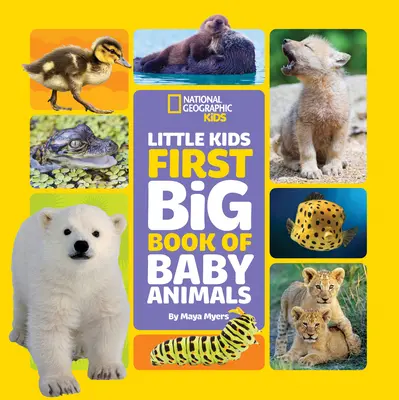 Little Kids First Big Book of Baby Animals (První velká kniha o mláďatech) - Little Kids First Big Book of Baby Animals