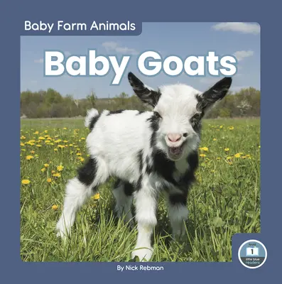Mláďata koz - Baby Goats