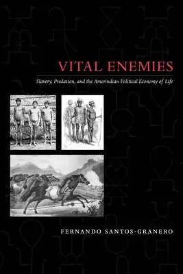 Životní nepřátelé: otroctví, dravost a politická ekonomie života indiánů - Vital Enemies: Slavery, Predation, and the Amerindian Political Economy of Life