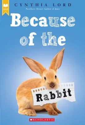Kvůli králíkovi - Because of the Rabbit