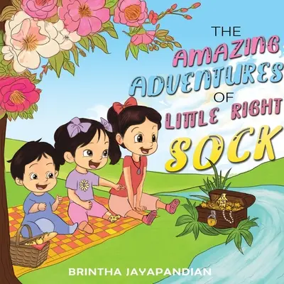 Úžasná dobrodružství malé správné ponožky - The Amazing Adventures of Little Right Sock