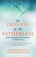 Na obranu otců bez otců: Mezinárodní adopce a péče o sirotky: vykoupení bez otce (Redeeming International Adoption & Orphan Care) - In Defense of the Fatherless: Redeeming International Adoption & Orphan Care