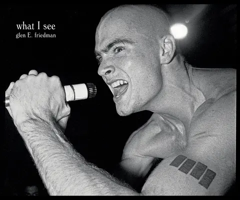 Co vidím: Friedmana: Fotografie Black Flag Glena E. Friedmana. - What I See: The Black Flag Photographs of Glen E. Friedman