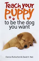 Naučte své štěně být psem, jakého si přejete - Teach Your Puppy to be the Dog You Want
