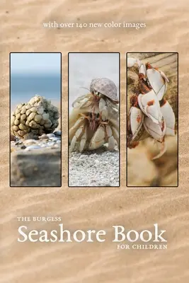 Burgessova kniha o mořském pobřeží s novými barevnými obrázky - The Burgess Seashore Book with new color images