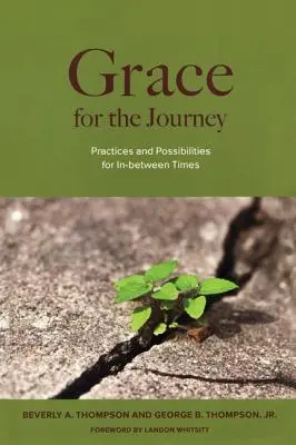Milost na cestu: Zázemí pro život v mezidobí a pro praxi - Grace for the Journey: Practices and Possibilities for In-between Times
