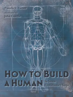 Jak vytvořit člověka: v sedmi evolučních krocích - How to Build a Human: In Seven Evolutionary Steps