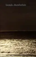 Závod o příliv a odliv - Tide Race