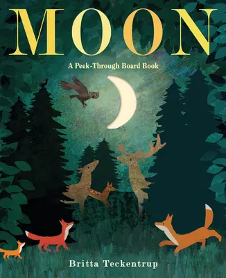 Měsíc: Měsíc: průhledná desková kniha - Moon: A Peek-Through Board Book