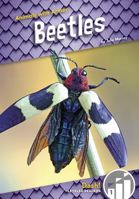 Brouci - Beetles