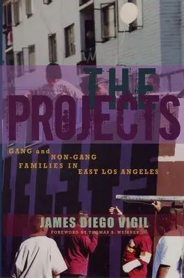 Projekty - Rodiny gangů a negangů ve východním Los Angeles - Projects - Gang and Non-Gang Families in East Los Angeles