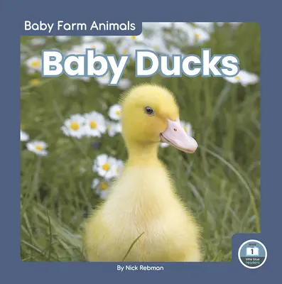 Mláďata kachen - Baby Ducks