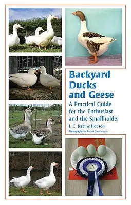 Kachny a husy na dvorku: Praktický průvodce pro nadšence i drobné chovatele - Backyard Ducks and Geese: A Practical Guide for the Enthusiast and the Smallholder