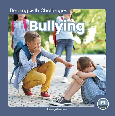 Šikana - Bullying