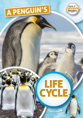 Životní cyklus tučňáka - Penguin's Life Cycle