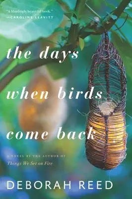 Dny, kdy se ptáci vracejí - The Days When Birds Come Back