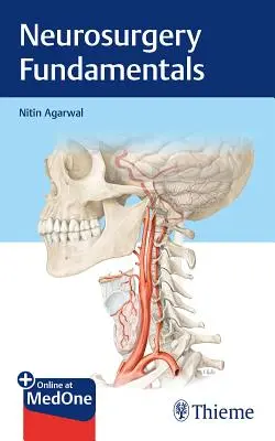 Základy neurochirurgie - Neurosurgery Fundamentals