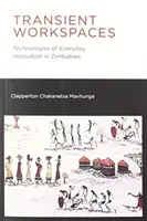 Přechodné pracovní prostory: Technologie každodenních inovací v Zimbabwe - Transient Workspaces: Technologies of Everyday Innovation in Zimbabwe