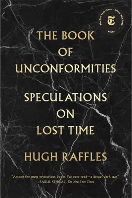 Kniha nesrovnalostí: Kniha: Spekulace o ztraceném čase - The Book of Unconformities: Speculations on Lost Time