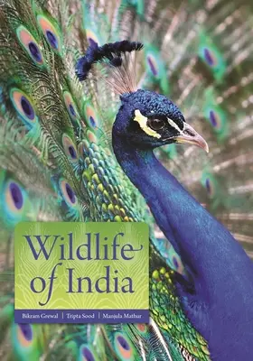 Divoká příroda Indie - Wildlife of India