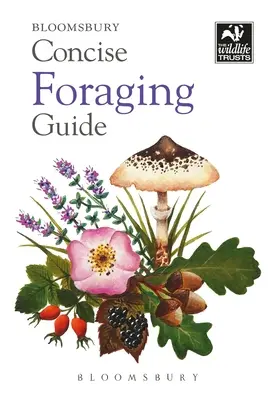 Stručný průvodce hledáním potravy - Concise Foraging Guide