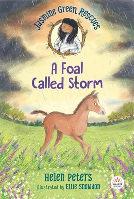 Jasmine Green Rescues: Hříbě jménem Storm - Jasmine Green Rescues: A Foal Called Storm