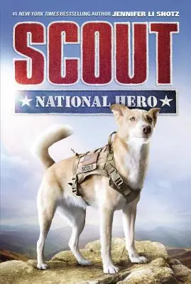 Scout: Hrdina: Národní hrdina - Scout: National Hero