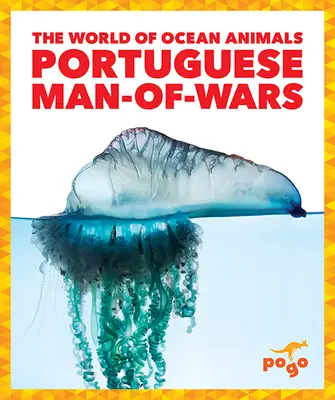 Portugalský člověk z války - Portuguese Man-Of-Wars