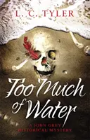 Příliš mnoho vody - napínavý historický kriminální román - Too Much of Water - a gripping historical crime novel