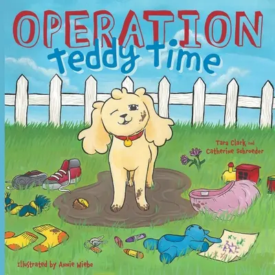 Operace Čas pro medvídka - Operation Teddy Time