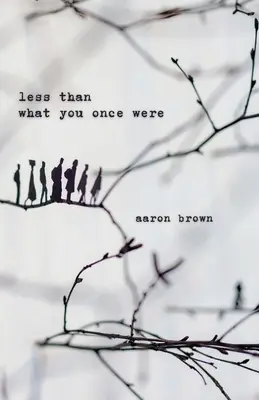 Méně než to, čím jsi kdysi byl - Less Than What You Once Were
