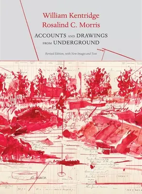Účty a kresby z podzemí: Východní Randské vlastnické doly: pokladní kniha - Accounts and Drawings from Underground: The East Rand Proprietary Mines Cash Book