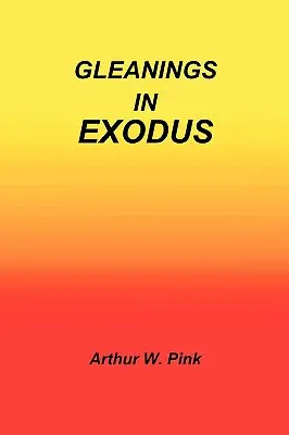 Zběry v knize Exodus - Gleanings in Exodus