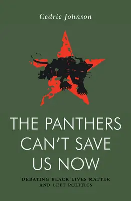 Panteři nás teď nezachrání: Debata o levicové politice a Black Lives Matter (Na životech černochů záleží) - The Panthers Can't Save Us Now: Debating Left Politics and Black Lives Matter