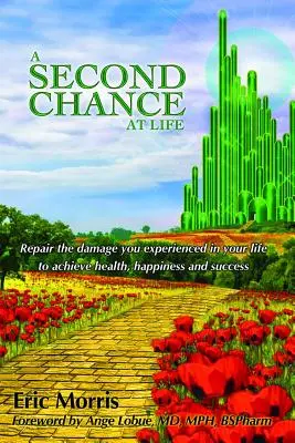 Druhá šance na život: Náprava škod, které jste ve svém životě zažili - A Second Chance at Life: Repairing the Damage You Have Experienced in Your Lives