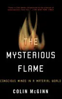 Tajemný plamen: Vědoucí mysli v materiálním světě - román - The Mysterious Flame: Conscious Minds in a Material World