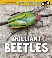 Brilantní brouci - Brilliant Beetles