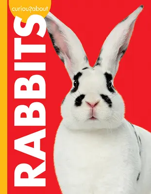 Zvědavost na králíky - Curious about Rabbits