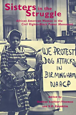 Sestry v boji: Afroameričanky v hnutí za občanská práva a sílu černochů - Sisters in the Struggle: African American Women in the Civil Rights-Black Power Movement