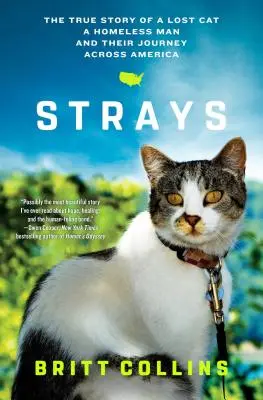Bludičky: Pravdivý příběh ztracené kočky, muže bez domova a jejich cesty napříč Amerikou - Strays: The True Story of a Lost Cat, a Homeless Man, and Their Journey Across America
