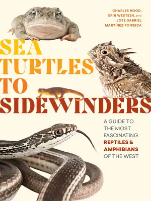 Od mořských želv k bočním větrníkům: Průvodce po nejzajímavějších plazech a obojživelnících Západu. - Sea Turtles to Sidewinders: A Guide to the Most Fascinating Reptiles and Amphibians of the West