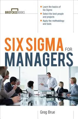 Six SIGMA pro manažery - Six SIGMA for Managers