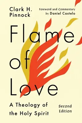 Plamen lásky: Tři pohledy na osud neevangelizovaných lidí - Flame of Love: Three Views on the Destiny of the Unevangelized
