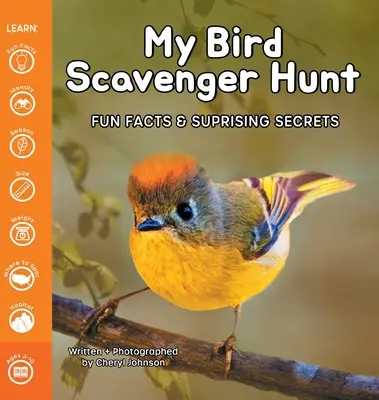 Můj ptačí lov - My Bird Scavenger Hunt